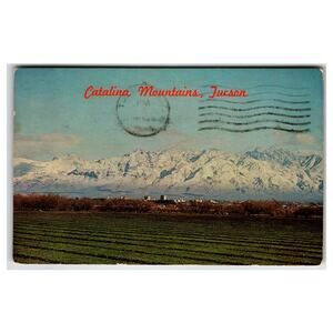 1948 Tucson AZ Catalina Mountains Snow-Capped Petley Postcard